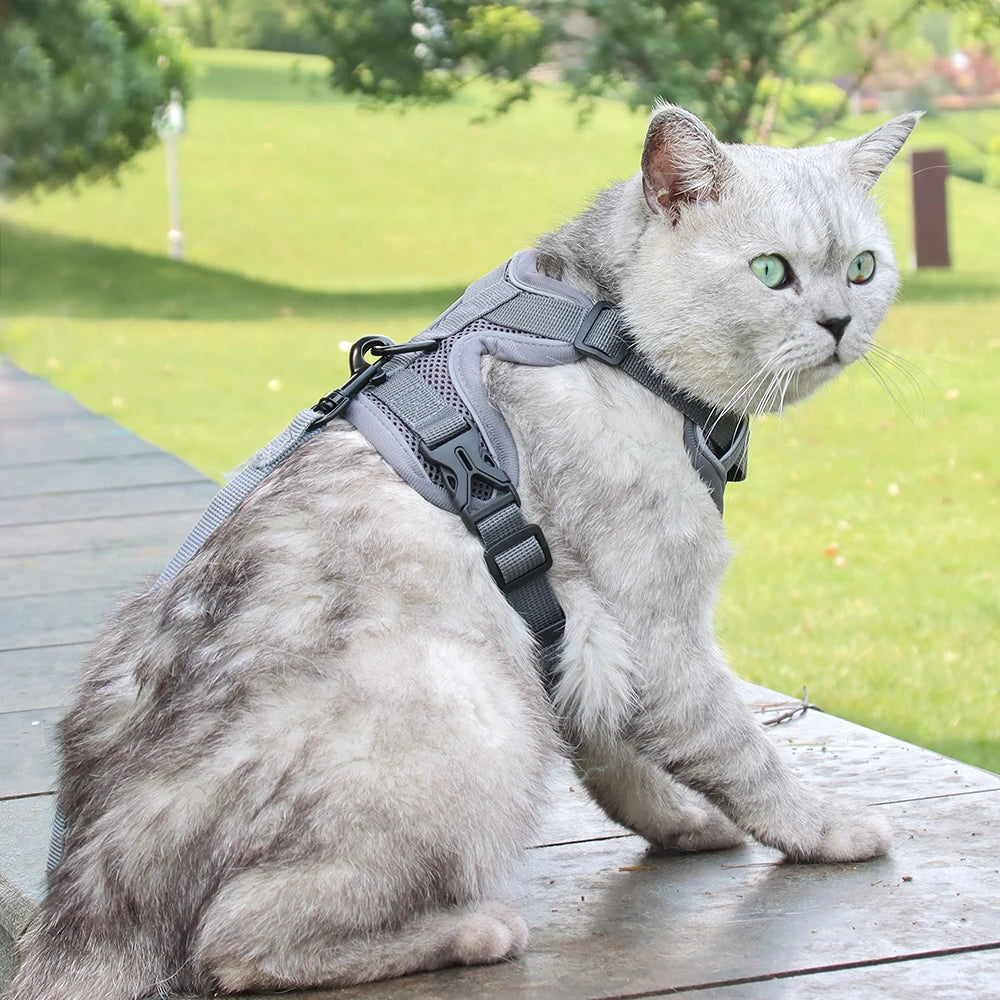 Cat Harness and Leash Set Escape Proof For Small Medium Dog Cat